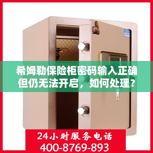 希姆勒保险柜密码输入正确但仍无法开启，如何处理？，希姆勒保险柜密码正确却锁死，解决攻略大揭秘！