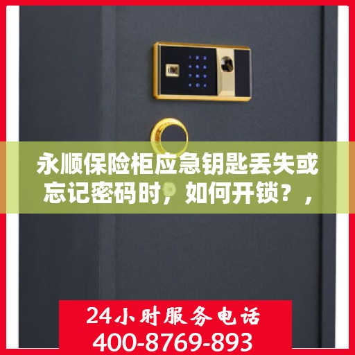 永顺保险柜应急钥匙丢失或忘记密码时，如何开锁？，永顺保险柜应急开锁攻略，钥匙丢失或密码遗忘怎么办？