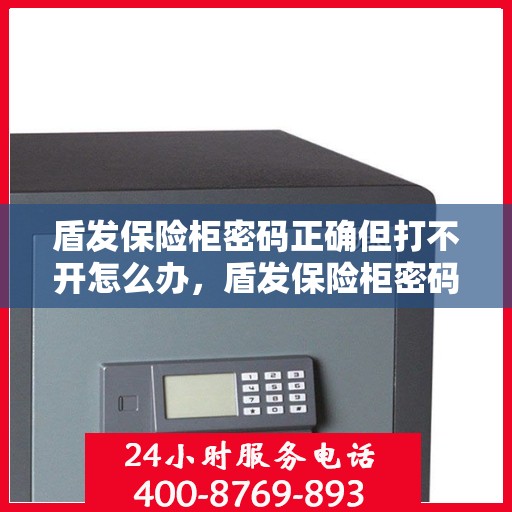盾发保险柜密码正确但打不开怎么办，盾发保险柜密码正确却打不开的解决方法