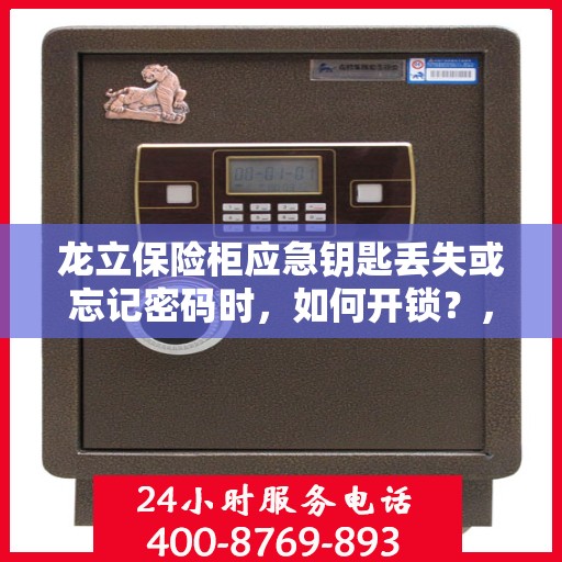 龙立保险柜应急钥匙丢失或忘记密码时，如何开锁？，龙立保险柜应急解锁指南，钥匙丢失或密码遗忘怎么办？