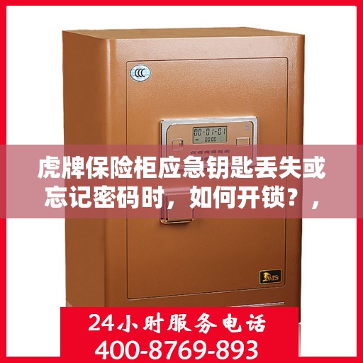 虎牌保险柜应急钥匙丢失或忘记密码时，如何开锁？，虎牌保险柜应急解锁指南，钥匙丢失或密码遗忘怎么办？