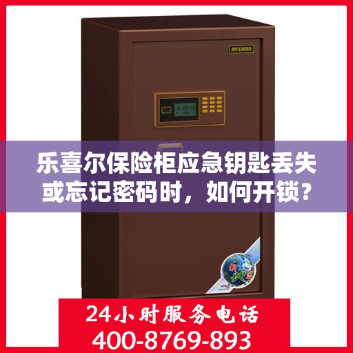 乐喜尔保险柜应急钥匙丢失或忘记密码时，如何开锁？，乐喜尔保险柜应急解锁指南，钥匙丢失或密码遗忘怎么办？