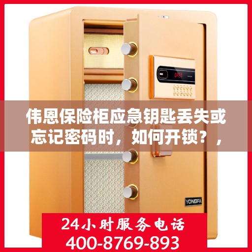 伟恩保险柜应急钥匙丢失或忘记密码时，如何开锁？，伟恩保险柜应急解锁指南，钥匙丢失或密码遗忘怎么办？