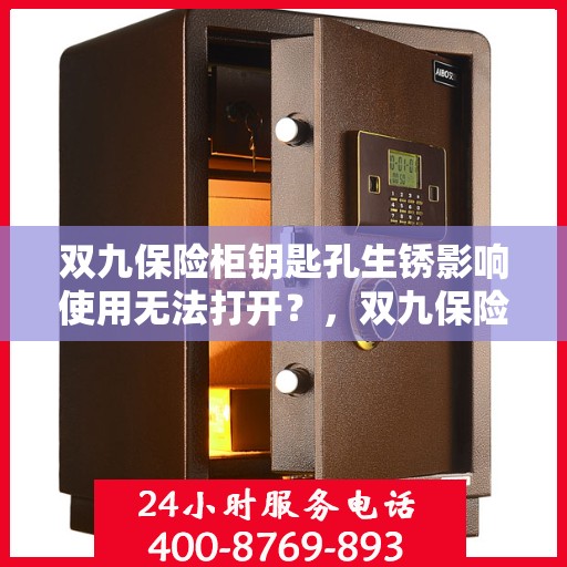 双九保险柜钥匙孔生锈影响使用无法打开？，双九保险柜钥匙孔生锈导致无法打开，解决方法大解析