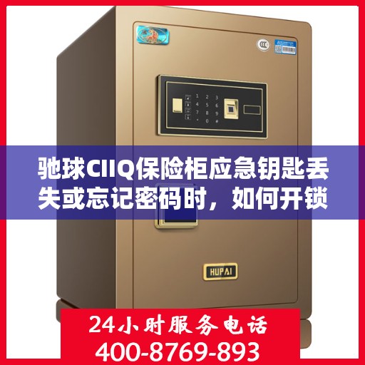 驰球CIIQ保险柜应急钥匙丢失或忘记密码时，如何开锁？，驰球CIIQ保险柜应急开锁指南，钥匙丢失或密码遗忘怎么办？