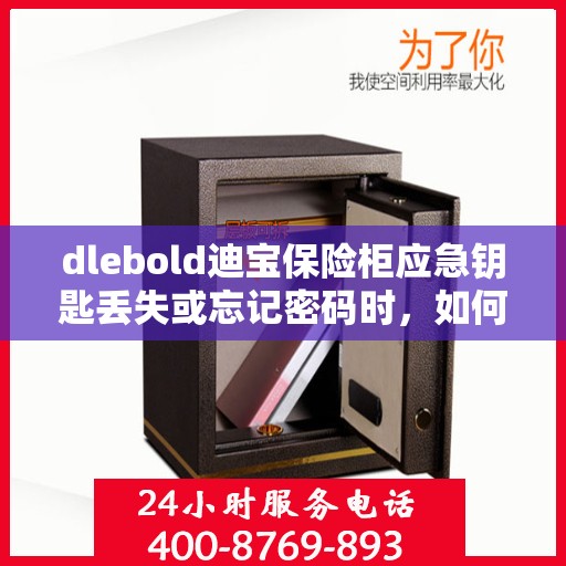 dlebold迪宝保险柜应急钥匙丢失或忘记密码时，如何开锁？，dlebold迪宝保险柜应急开锁指南，钥匙丢失或密码遗忘时的解决方案